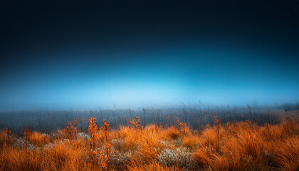 Fototapeta premium Atmospheric Field With Blue Haze And Sparse Orange Growth Under A Dark Sky