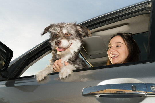 Woman enjoying time with her dog in a car during sunny day