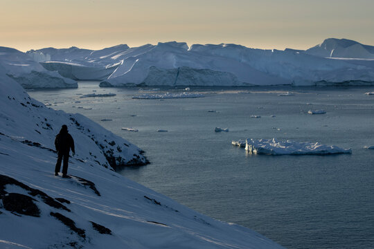 A person watches arctic sea and icebergs