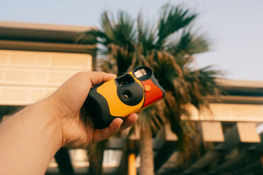Hand holding a disposable film camera with palm tree in background
