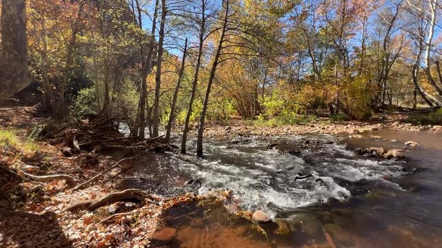 Peaceful and tranquil autumn river stream in the forest, in Buddha point near cathedral rock | Sedona AZ