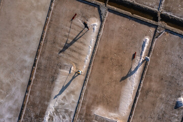 Traditional Salt Harvest in Phan Rang, Ninh Thuan, Vietnam
