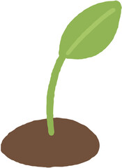 Growing Green Sprouts