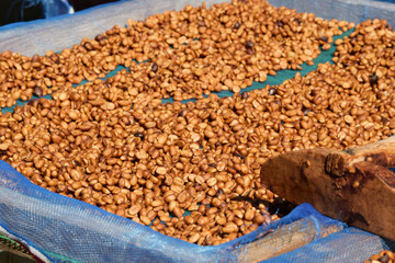 Close up of coffee beans drying in the sun