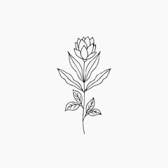 Obraz premium vector illustration of a plant