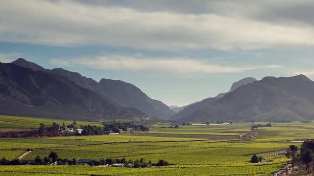 Clouds drift over orchard agriculture landscape in day time-lapse