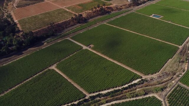Aerial tilts to reveal expansive fruit orchards in South African valley