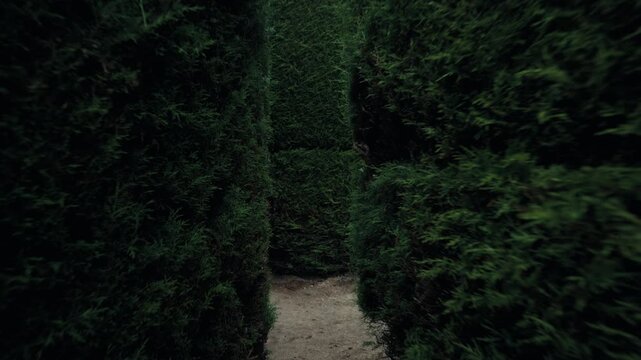 Walking through the hedge labyrinths of Tulc&aacute;n Cemetery topiary garden in Ecuador