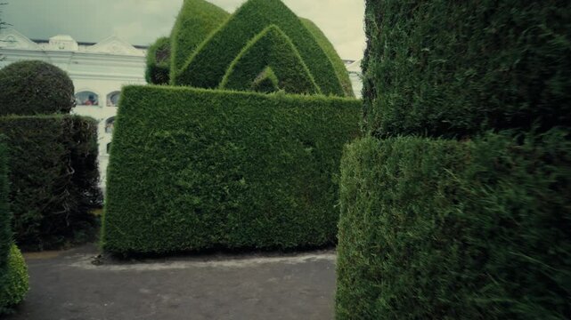 Walking through the hedge labyrinths of Tulc&aacute;n Cemetery topiary garden in Ecuador