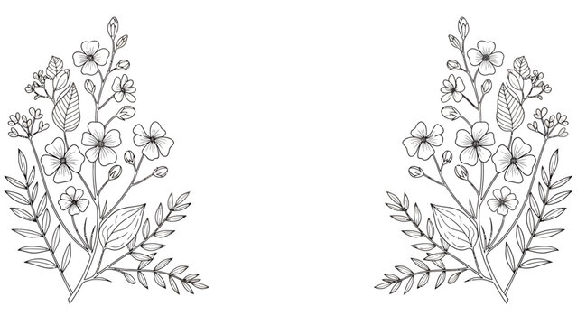 Two Delicate Black and White Botanical Sketches of Wildflowers with Leaves and Stems, Ornamental Line Art Study.