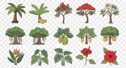 Obraz premium Collection of tropical trees fruits and flowers with a transparent background