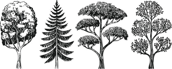 Abstract Eye Silhouette Vector Set  Geometric Shapes and Minimal Design © MSTZOWRON