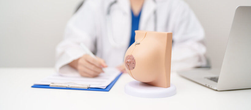 Doctor with Breast Anatomy model. Breast Augmentation Surgery, October Breast Cancer Awareness month, implant, Diagnosis, Beauty woman enlargement and medical education concept