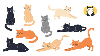 Fototapeta premium Set of cute cat illustrations in various poses such as stretching, sitting, lying down, and sleeping in multiple colors.