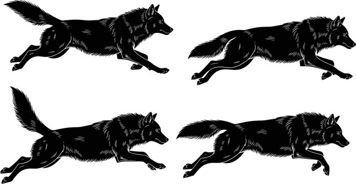Wolf, silhouette, running, jumping, vector, wildlife, animal, predator, nature, black, forest, wild, canine, movement, collection.