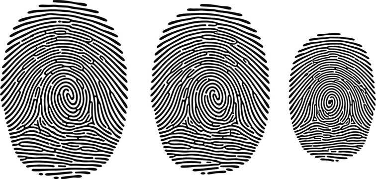 Fingerprint Identification Icons Set Biometric Security Thumbprint For Access Control And Identity Verification