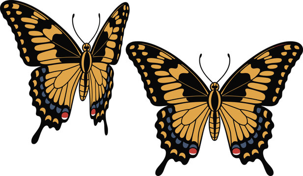 Swallowtail Butterfly」の写真素材 | 144,063件の無料イラスト画像