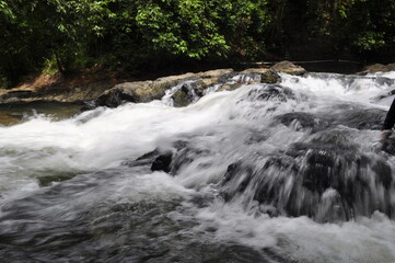 Fototapeta premium Fast flowing waterfall river rushing over dark rocks in lush green forest. The water appears white and foamy cascades uneven stones creating small rapids. 