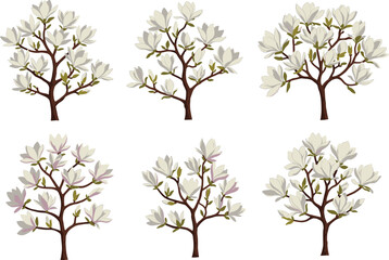Beautiful white magnolia tree blossom vector illustration cartoon set with six different floral styles on white background for Adobe Stock. © MdAftab