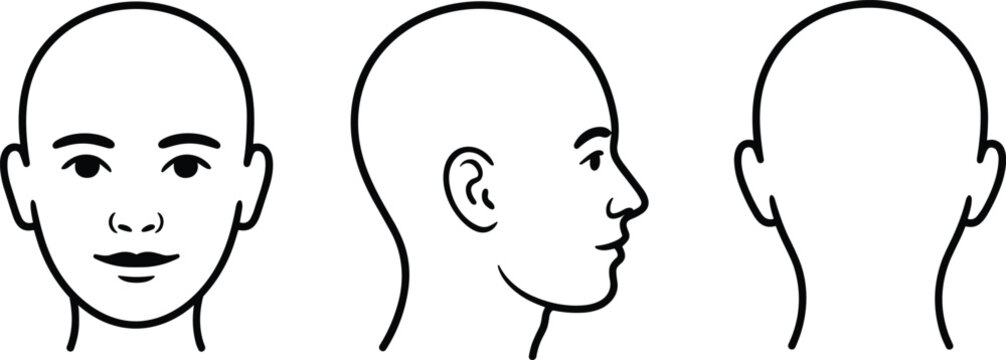 Human Head Views Front Side and Back untitled