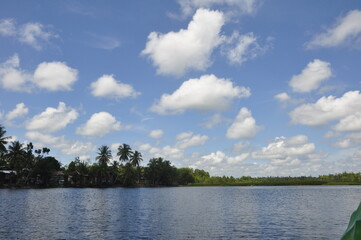 Natural landscape with vast expanse of water, like river or lake in foreground. The surface shimmers and ripples slightly reflecting skylight. In the distance rows lush green trees including several t