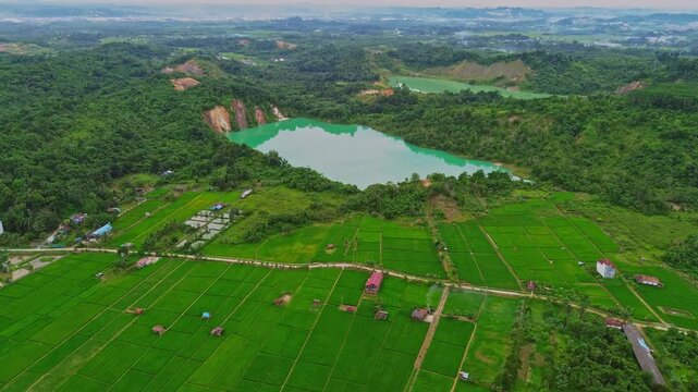 an aerial view of rice field and blue lake in makroman, east borneo