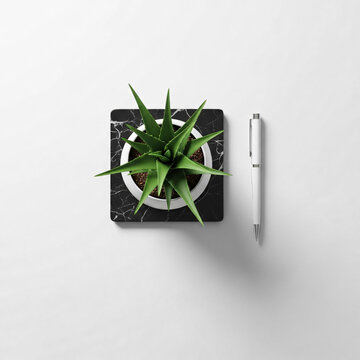 Clean Desk Scene Succulent Plant and Pen on Marble
