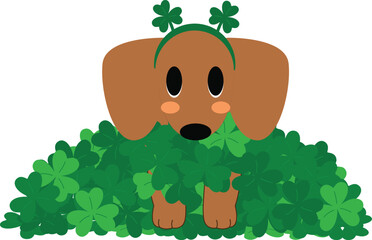 Lucky Dachshund Puppy Peeking from Shamrocks