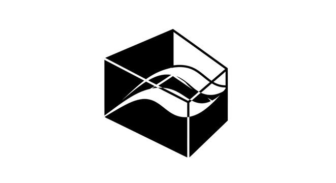 Black and white cube graphic design.