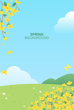 Spring landscape background with yellow forsythia flowers, green field and blue sky