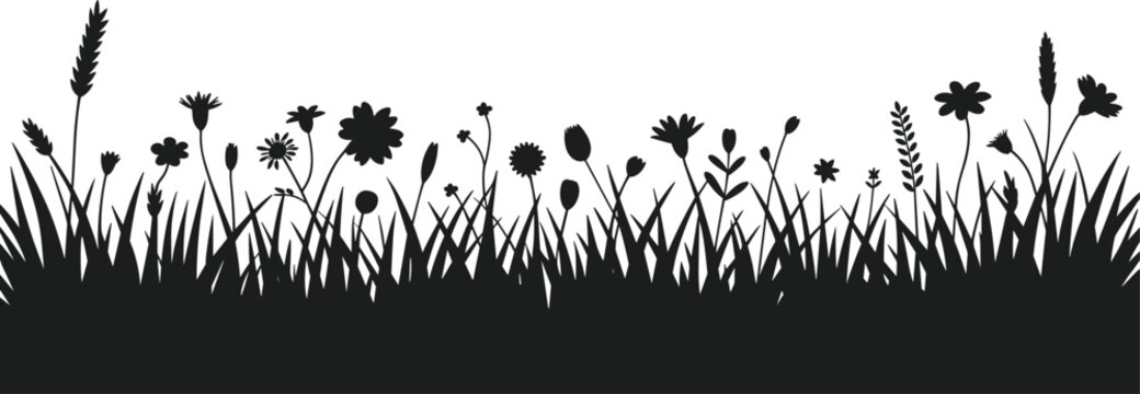 Black silhouette of diverse wild grass and flowering plants against a white background vector