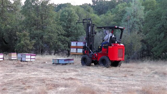 Hummerbee All-Terrain Forklift Transporting Stacked Beehives Across Dry Rural California Meadow During Commercial Almond Pollination Season