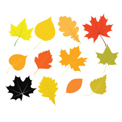 Fototapeta premium Art & Illustration