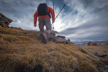Obraz premium Low angle back view of a hiker in an orange jacket with a backpack and trekking poles walking up a grassy mountain slope.