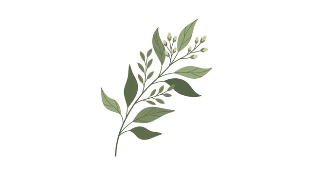 A minimalist illustration of a green leafy branch against a clean white background with a simple, natural aesthetic.