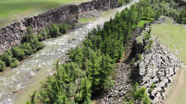 Aerial view of rocky river canyon in Mongolian depression valley, fast water and pines. Overhead landscape shows stony gorge channel, swift flow beside conifer forest on steppe plain.