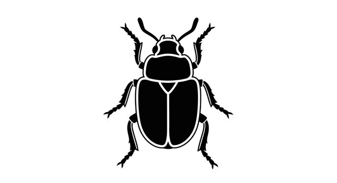 Black beetle insect illustration closeup.