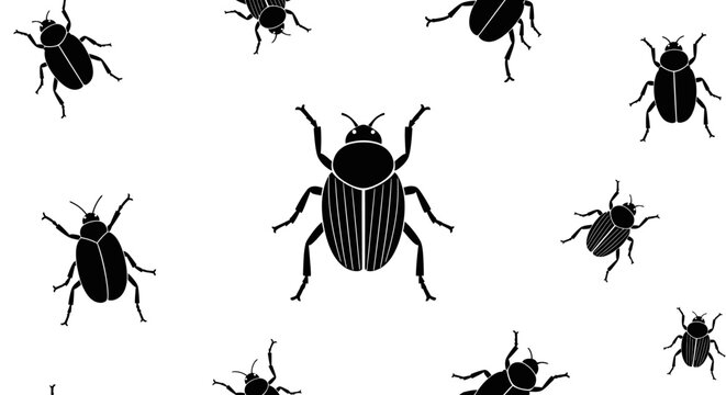 Black beetles on white background.