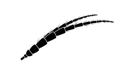 Black insect antennae with segments. © LAILATUS