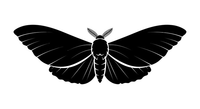 Black moth with open wings silhouette.