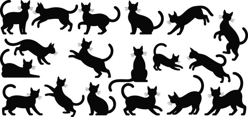 Large collection of cat silhouettes in playful and jumping poses, black domestic feline pets isolated on white background flat vector illustration set © MSTNASRIN