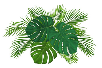 Tropical palm leaves and green exotic foliage. Realistic lush coconut palm fronds with vibrant monstera plants for summer beach designs. Vector illustration © wild