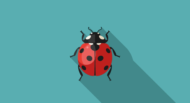 Illustration of ladybug casting shadow on surface from overhead viewpoint