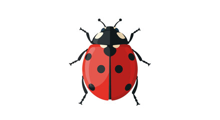 A detailed illustration of a ladybug with red and black spots viewed from above © Avra