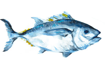 マグロの水彩イラスト素材