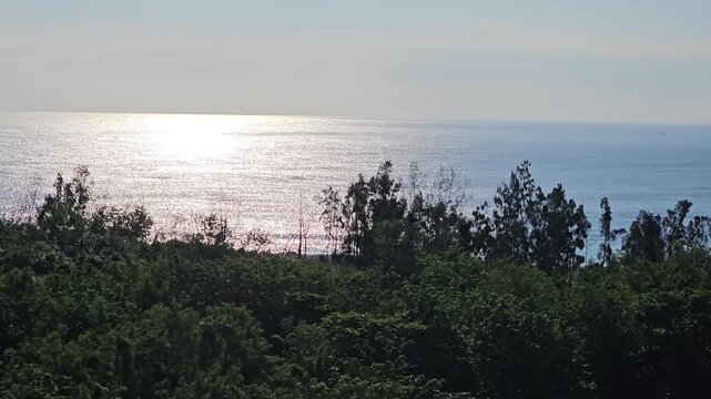 Golden sunrise over coastal park grassland and windbreak forest in Hualien, warm morning light illuminating Pacific shoreline with tranquil greenery and peaceful seaside landscape in Taiwan