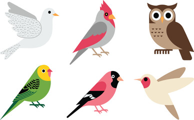 Obraz premium Cute cartoon bird vector set, colorful flat illustration collection of owl, parrot and small birds isolated on white background for kids design