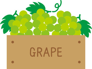포도