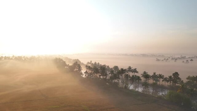 Misty morning view of Kallara Grama Panchayat rice fields in Kottayam Kerala, Serene early morning mist over lush green paddy fields in rural South India, Foggy sunrise in Kallara village