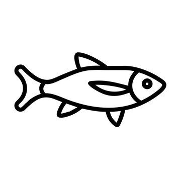 fish eurasian minnow icon